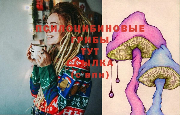 тгк Алзамай