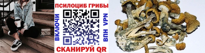 Галлюциногенные грибы Magic Shrooms  купить закладку  кракен ТОР  Березники 